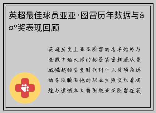 英超最佳球员亚亚·图雷历年数据与夺奖表现回顾
