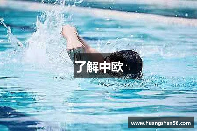 了解中欧